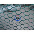 Galvanized and PVC Coated hexagonal wire mesh/plastic fishing netting